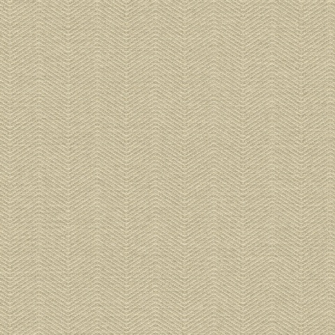 Beta - 1104-6