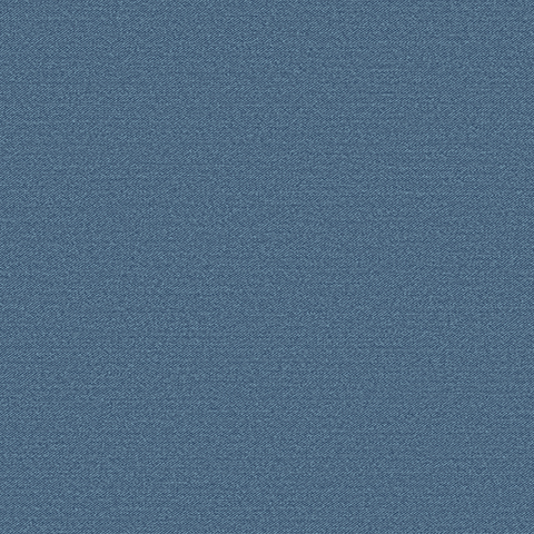 Gallinara - 54308-6