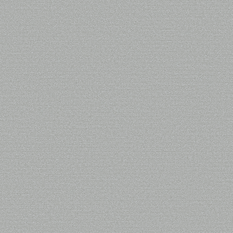 Gallinara - 54308-7