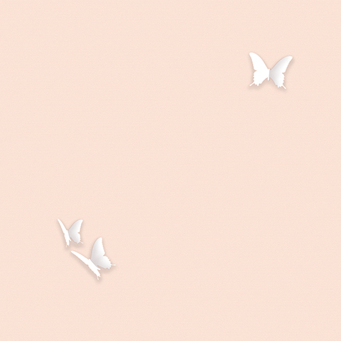 Gallinara - 54309-4