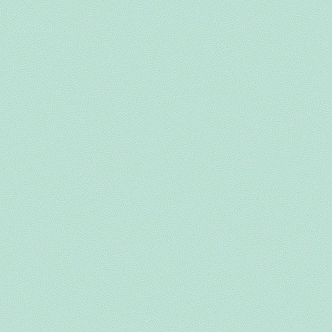 Gallinara - 54310-8