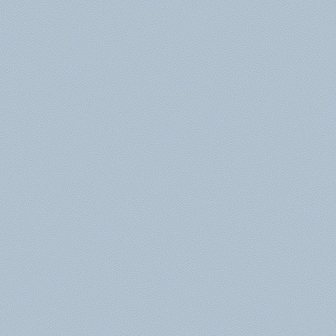 Gallinara - 54310-9