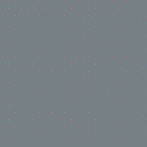 Gallinara - 54312-6