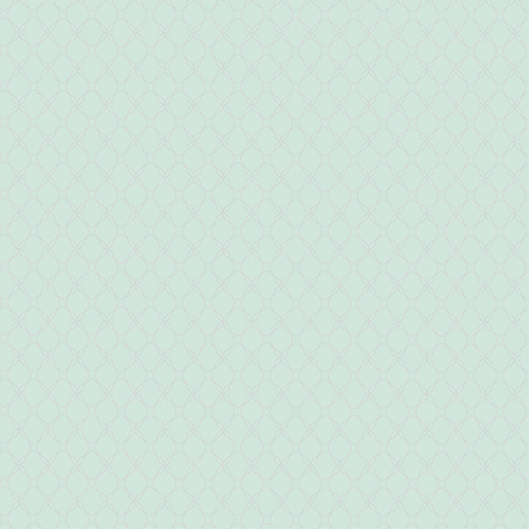 Gallinara - 54315-5