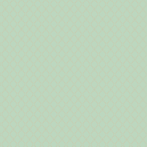 Gallinara - 54315-6