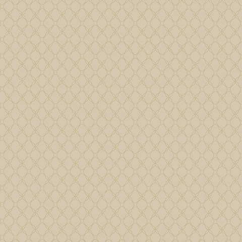 Gallinara - 54315-8