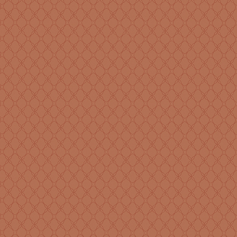 Gallinara - 54315-9