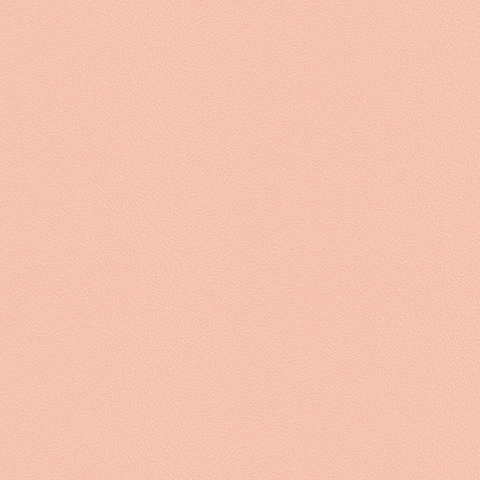 Spectrum - 54333-18