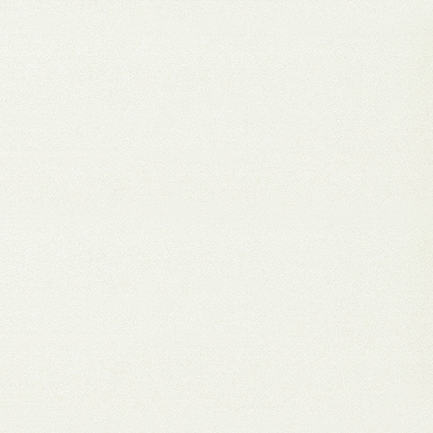 Spectrum Max - 54357-1