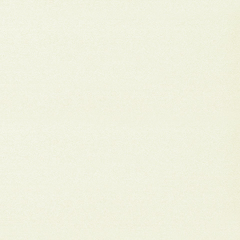 Spectrum Max - 54357-2