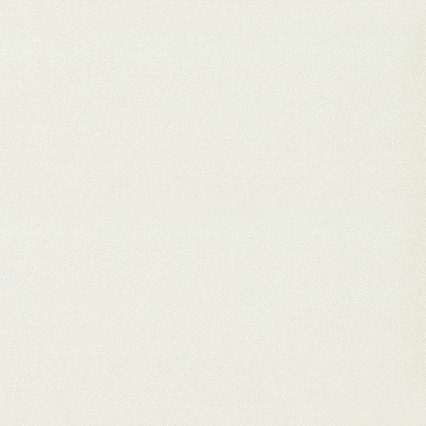 Spectrum Max - 54357-4