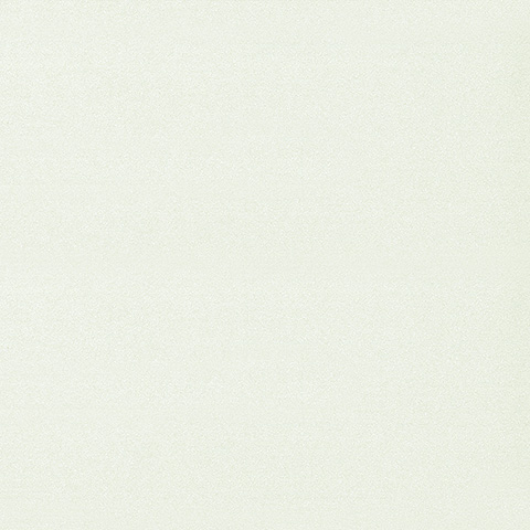 Spectrum Max - 54357-5