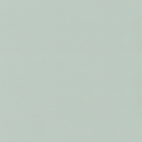 Spectrum Max - 54357-8
