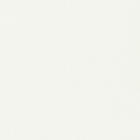 Spectrum Max - 54359-4