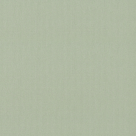 Spectrum Max - 54359-8