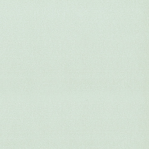 Spectrum Max - 54361-10