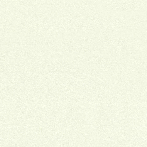 Spectrum Max - 54361-9