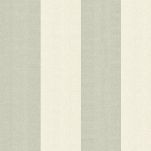 Spectrum Max - 54364-6