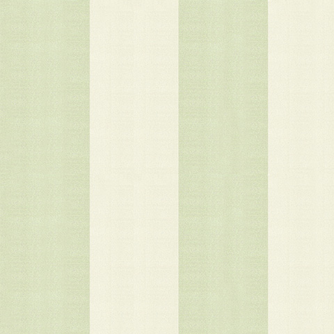 Spectrum Max - 54364-7