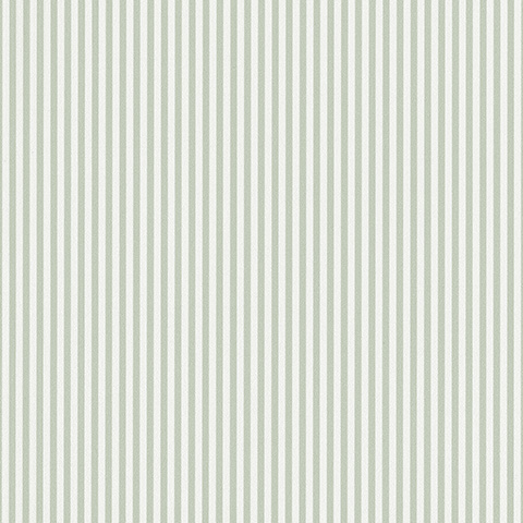 Spectrum Max - 54365-13