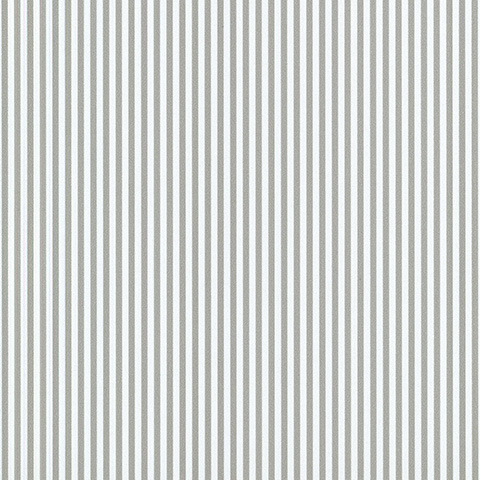 Spectrum Max - 54365-16