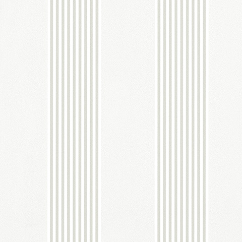 Spectrum Max - 54366-1