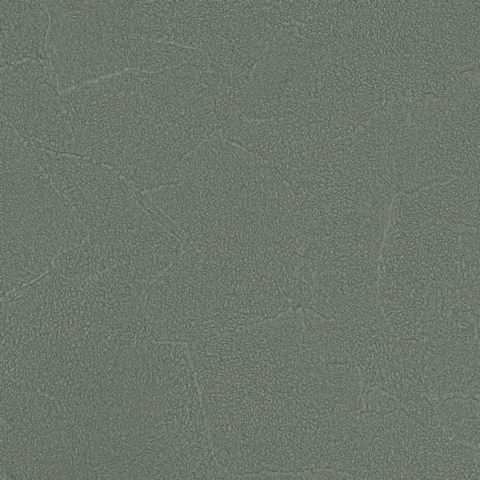 Spectrum PLUS - 54351-14
