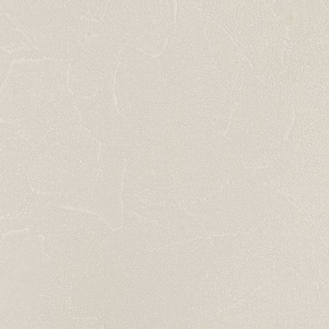 Spectrum PLUS - 54351-4