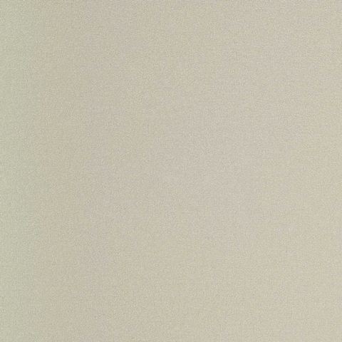 Spectrum PLUS - 54355-24