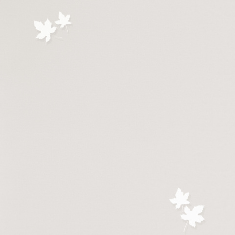 Spectrum Pro - 54384-2
