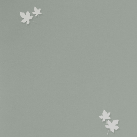Spectrum Pro - 54384-7