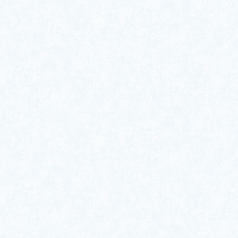 Bigi - 5067-10