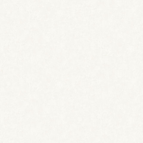 Bigi - 5067-2