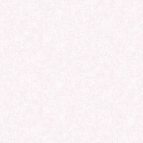 Bigi - 5067-9