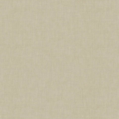 Atelier - 31449
