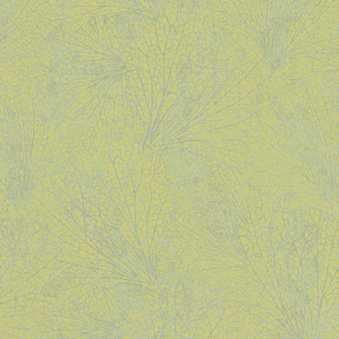Origin - 31381
