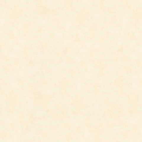 Shades - 32424