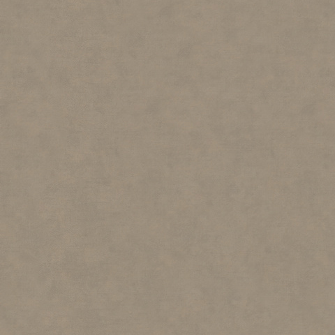 Shades - 32429