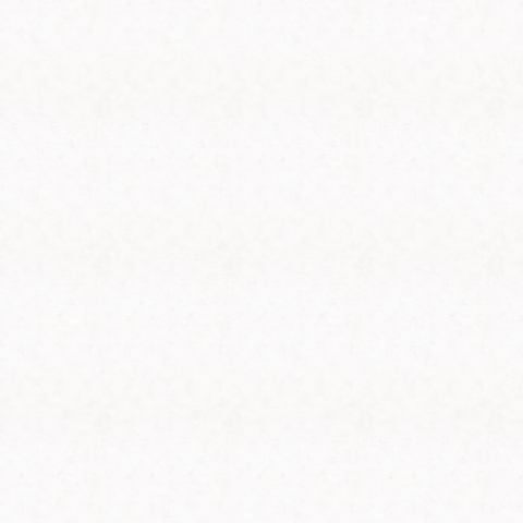 Shades - 32436
