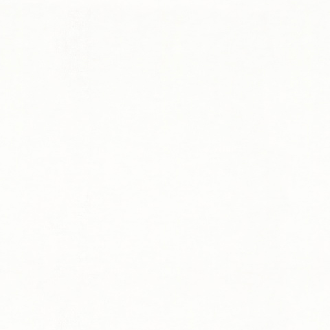 Shades - 32441